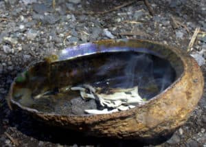 sage burning in a shell